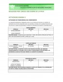 Actividad 2 indicadores financieros sena