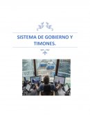 Sistema de gobierno y timones