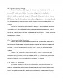 Resumen aplicaciones empresariales