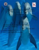 Integradora Español 2 la vida de los delfines