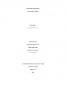 Oscilaciones Armónicas de Un péndulo de resorte