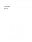 El Proceso Legislativo Mexicano