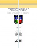 Pardeamiento no enzimatico