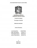 Tecnología en Industrial Materiales Industriales Informe Poliuretano