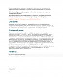 Elementos organizativos