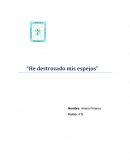 He destrozado mis espejos