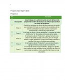 Proyecto Excel Expert 2016