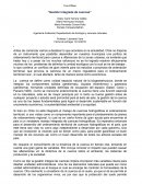 Gestión integrada de cuencas