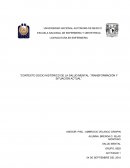 Contexto socio histórico de la salud mental: Transformación y situación actual