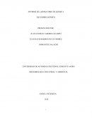 INFORME DE LABORATORIO DE QUIMICA EQUILIBRIO QUIMICO