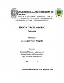 ENFERMERÍA DEL NIÑO Y DEL ADOLESCENTE SHOCK CIRCULATORIO