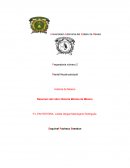 Encargada de ciber café