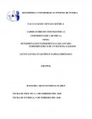 DETERMINACION EXPERIMENTAL DEL ESTADO TERMODINÁMICO DE UN SISTEMA GASEOSO