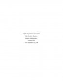 Etapas Proceso Calificacion