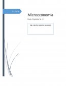 Libro Microeconomia Michael Parkin, Guia No.8