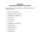 APLICANDO HERRAMIENTAS WORD
