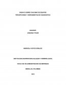 Ensayo sobre los 14 habitos de un lider eficaz