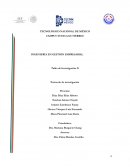 Taller de Investigación II