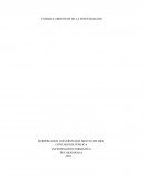 OBJETIVOS DE LA INVESTIGACION. CONTADURIA PÚBLICA