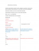 ESTRUCTURA DE LA TESIS FINAL