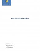 Administracion social publica