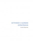 Actividad Alianzas estratégicas