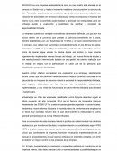 Introduccion, Recomendacion y Conclusion. MAVIFLEX