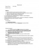 Punto de ebullicion del etanol