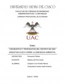 DIAGNOSTICO Y PROPUESTAS DEL DISTRITO DE SAN SEBASTIAN-CUSCO SOBRE LA DIMENSION AMBIENTAL
