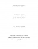 Administracion en seguridad y salud en el trabajo