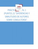 QUE ES LA CONSULTORIA