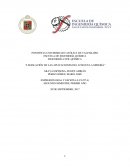 LEGISLACIÓN DE LAS APLICACIONES DEL LITIO EN LA MINERÍA