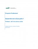 Proyecto Profesional - Desarrollo de la Guía parte 1