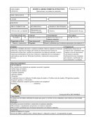 Modelo de sesión alternativo de aprendizaje con rúbricas