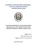 EVALUACION AGRONOMICA DEL MAIZ HIBRIDO