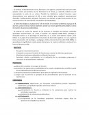 Planificacion - Fracciones