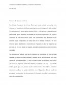 Ensayo de psiquiatria