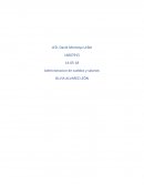 ESTRUCTURA DE SUELDOS Y SALARIOS
