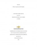 ENSAYO Influencia organizacional del trabajador