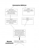 Mapas conceptuales administración por calidad