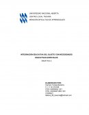 INTEGRACIÓN EDUCATIVA DEL SUJETO CON NECESIDADES EDUCATIVAS ESPECIALES