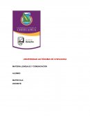 Resumen sobre lenguaje