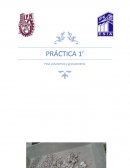 Peso volumétrico y granulometría PRÁCTICA