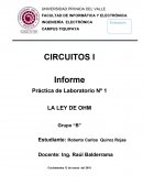 Práctica de Laboratorio Nº 1