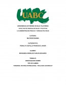 ORIGENES, HISTORIA INTERNACIONAL Y RELACION CON MEXICO