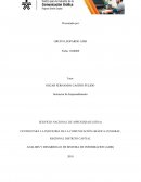 ANALISIS Y DESARROLLO DE SISTEMA DE INFORMACION (ADSI)