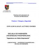 Práctica de seguridad “Ingenieros con Visión Empresarial”