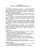 Very Large Hydrogen Atom in Interstellar Space