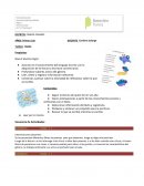 Secuencia de primer ciclo poesia