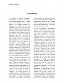 Artículo sobre Democracia Ecuador